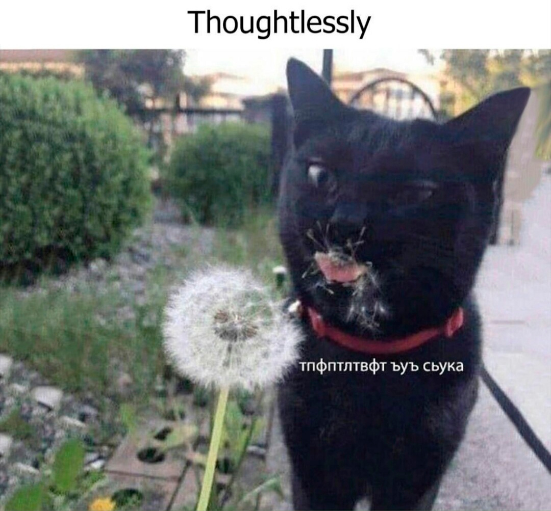 а потом говорят английский язык не нужен